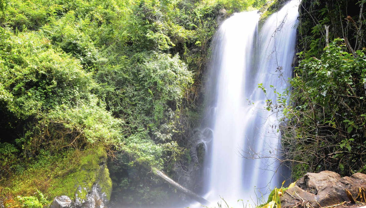 Marangu Day Trip - Photo 1