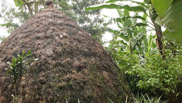 Marangu Day Trip - Photo 4