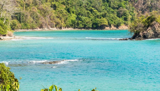 Tour por el Parque Nacional Manuel Antonio con entradas - Foto 5