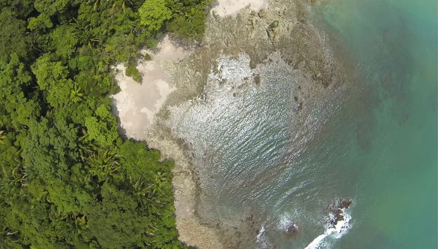 Tour por el Parque Nacional Manuel Antonio con entradas - Foto 3