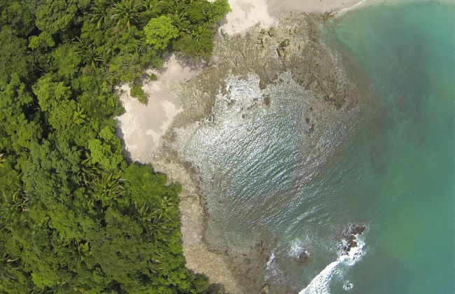 Manuel Antonio National Park Tour with Tickets - Photo 3