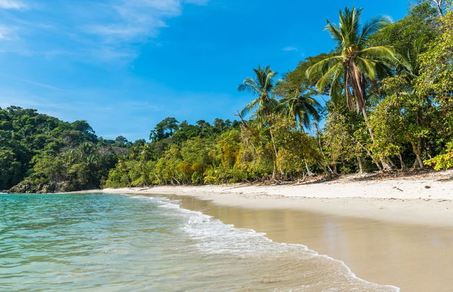 Manuel Antonio National Park Tour with Tickets - Photo 1