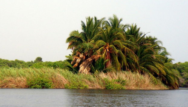San José Manialtepec Horse Riding - Photo 4