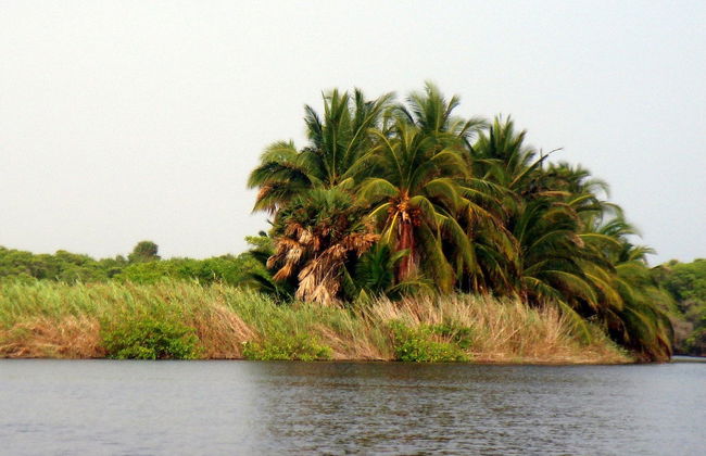 San José Manialtepec Horse Riding - Photo 4