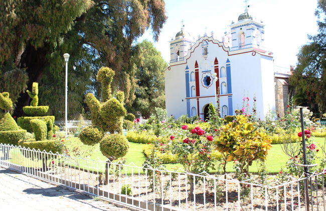 Excursión a Tule y Teotitlán del Valle + Fábrica de mezcal - Foto 5