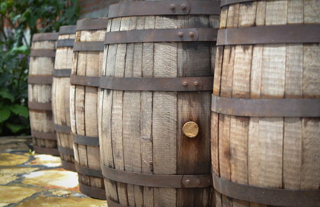 Excursión a Tule y Teotitlán del Valle + Fábrica de mezcal - Foto 3