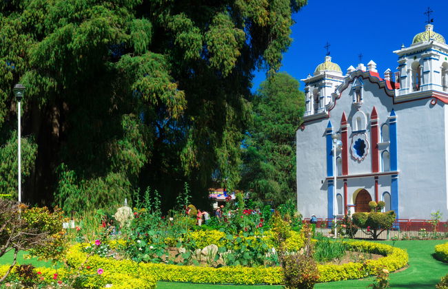 Excursión a Tule y Teotitlán del Valle + Fábrica de mezcal - Foto 9