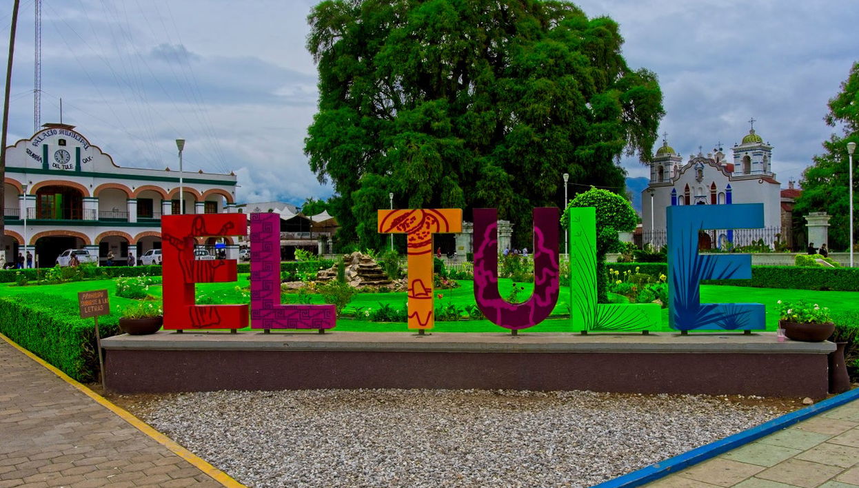 Tule & Teotitlán del Valle Day Trip + Mezcal Distillery - Photo 1