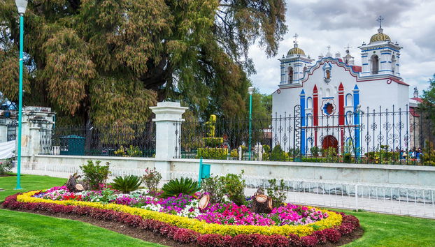 Tule & Teotitlán del Valle Day Trip + Mezcal Distillery - Photo 3