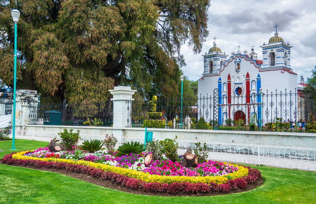 Escursione a Tule e Teotitlán del Valle + Fabbrica di mezcal - Foto 10
