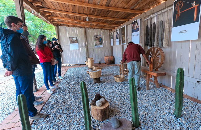 Excursión a Tule y Teotitlán del Valle + Fábrica de mezcal - Foto 4