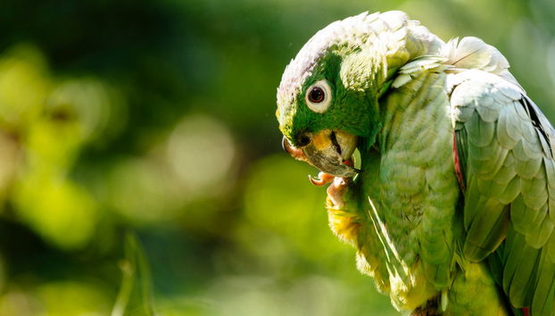 Tour por Tarapoto - Foto 5