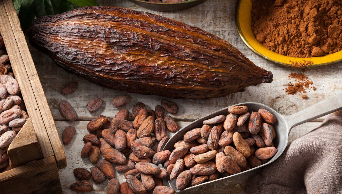 Tour por Tarapoto - Foto 1