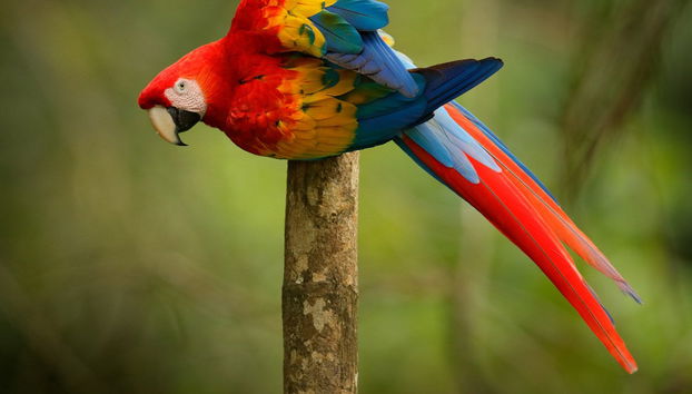 Tour por Tarapoto - Foto 3