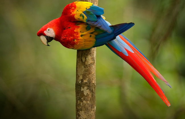 Tour por Tarapoto - Foto 3