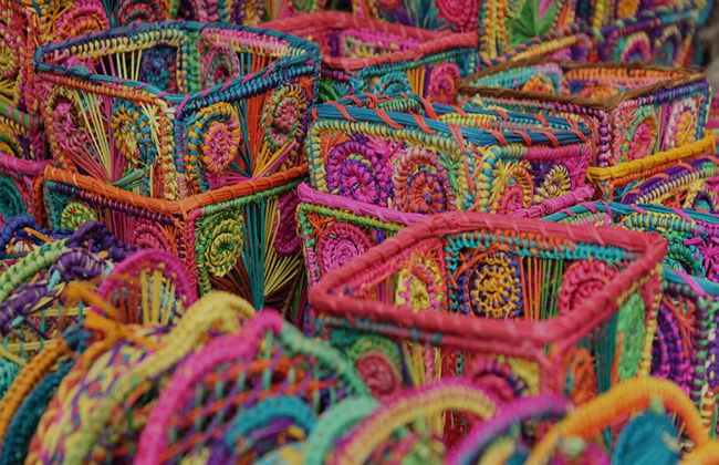 Escursione a Usiacurí - Foto 2