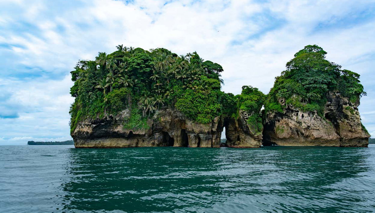 Starfish Beach & Bird Island Day Trip - Foto 1