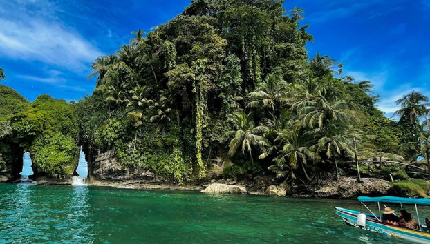 Starfish Beach & Bird Island Day Trip - Foto 3