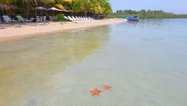 Starfish Beach & Bird Island Day Trip - Foto 2