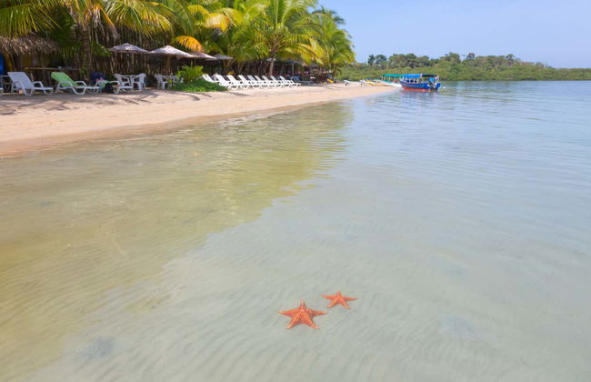 Starfish Beach & Bird Island Day Trip - Foto 2