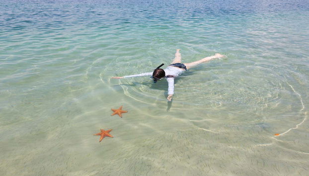 Starfish Beach & Bird Island Day Trip - Foto 4