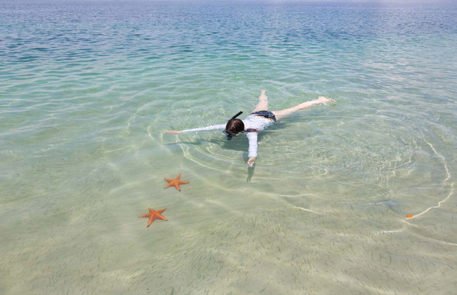 Starfish Beach & Bird Island Day Trip - Foto 4