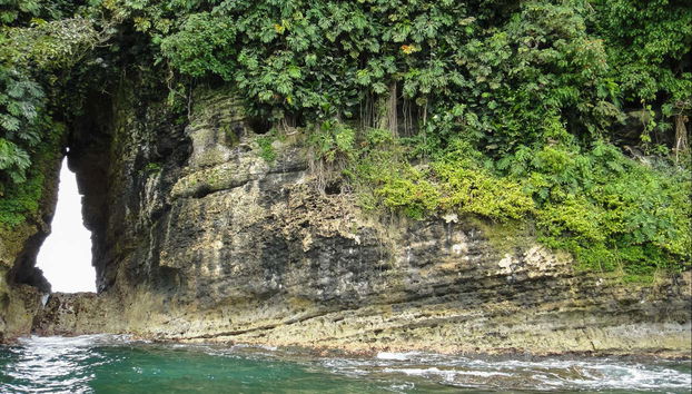 Starfish Beach & Bird Island Day Trip - Foto 5