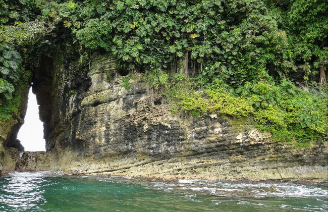 Starfish Beach & Bird Island Day Trip - Foto 5