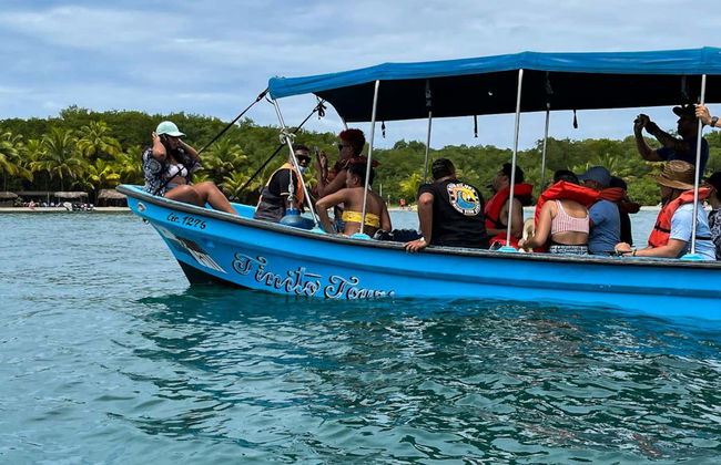 Starfish Beach & Bird Island Day Trip - Foto 7