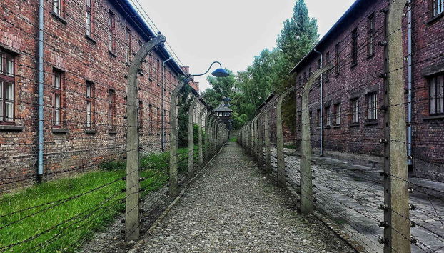 Excursão a Auschwitz-Birkenau - Foto 4