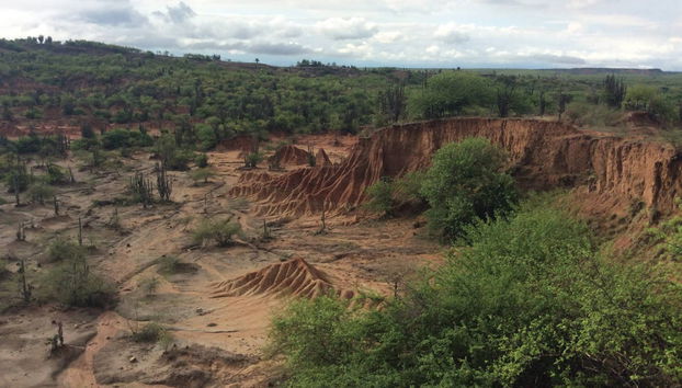 Excursión al Desierto de la Tatacoa - Foto 4