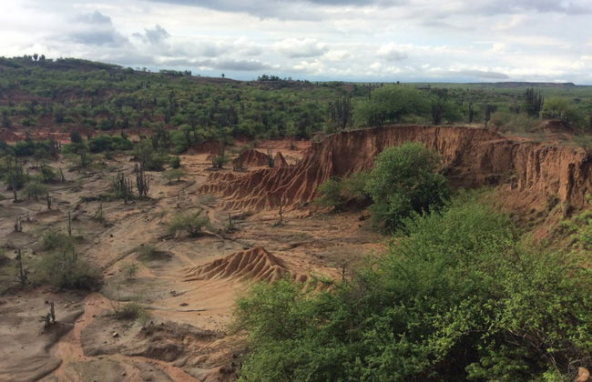 Excursión al Desierto de la Tatacoa - Foto 4