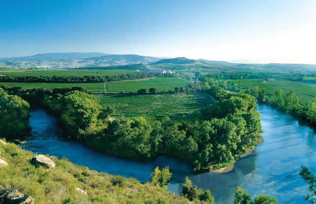 Visita a la finca Valpiedra - Foto 7