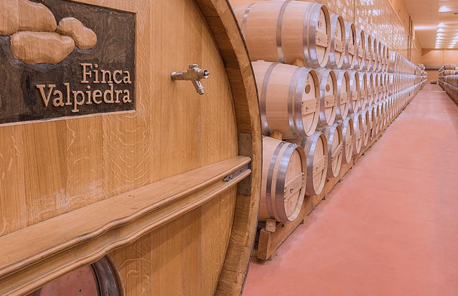 Visita a la finca Valpiedra - Foto 8