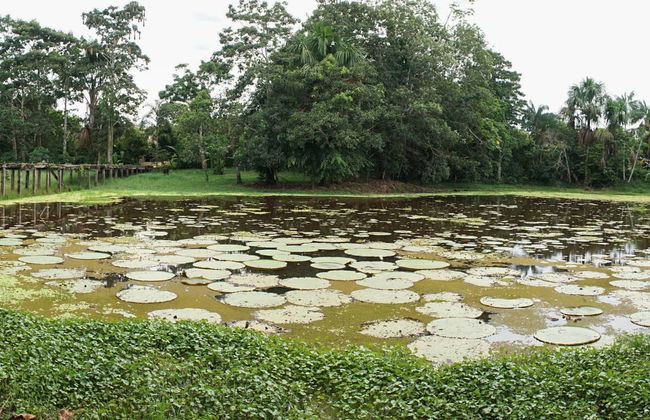 Excursion de 5 jours à Puerto Nariño, Mocagua et Amacayacu - Photo 6