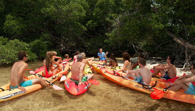 Kayaking, Paddleboarding & Snorkeling in Key West - Photo 5