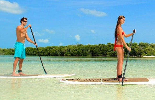 Caiaque e paddle surf em Key West + Snorkel - Foto 2