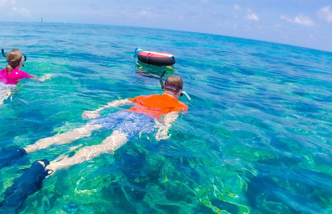 Caiaque e paddle surf em Key West + Snorkel - Foto 4