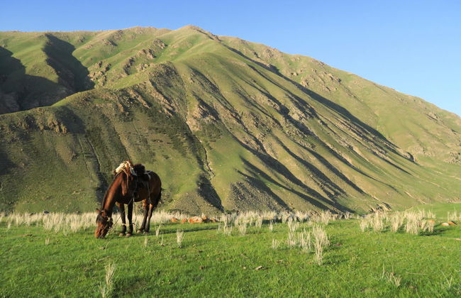 Tour privado de 2 días a caballo por Kol-Ukok - Foto 1