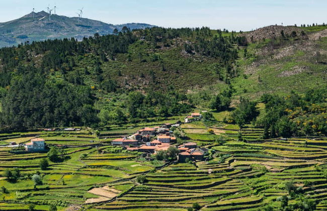 Randonnée à Sistelo - Photo 8