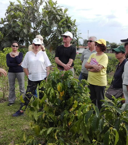 Foto de Tour del café por la finca Casa Vieja
