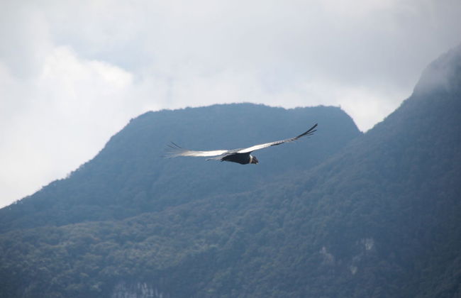 Nevado del Tolima Volcano Private 4-day Hiking Tour - Photo 8