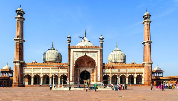 Visita guiada privada por Delhi - Foto 2