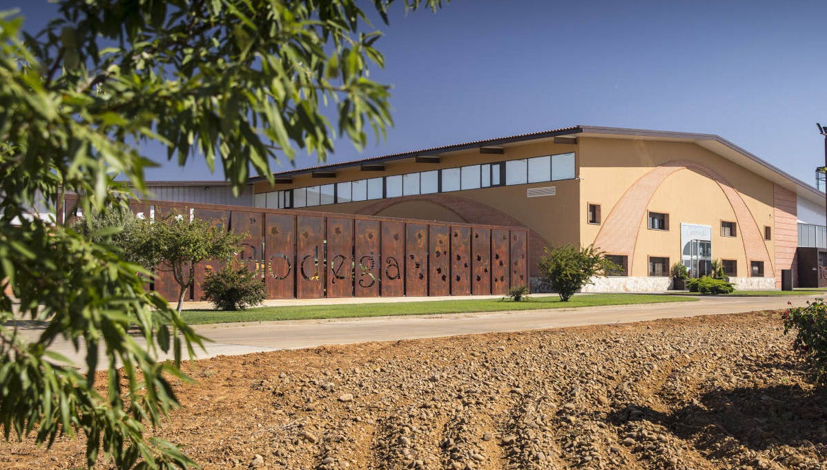 Bodegas Gordonzello Wine Tour - Foto 1