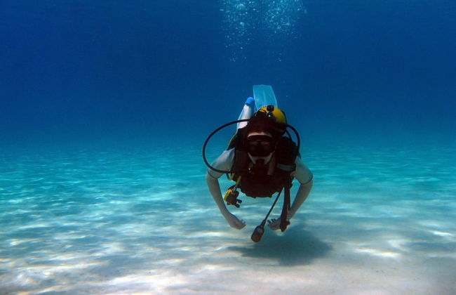 Bautismo de buceo en Moalboal - Foto 1