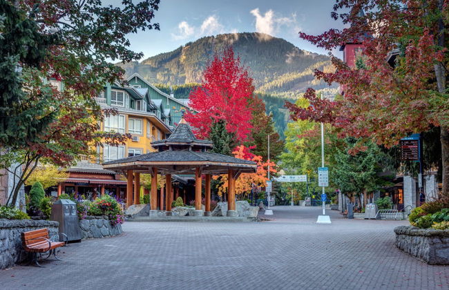 Visita guidata di Whistler - Foto 6