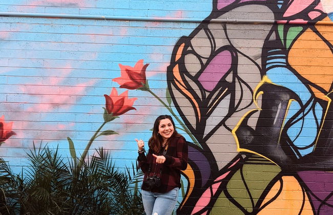 Tour del grafiti por el barrio de RoRo - Foto 6