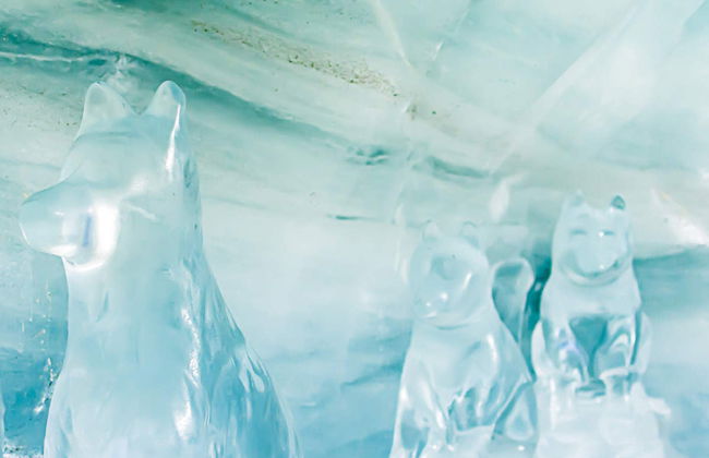 Jungfraujoch Day Trip - Foto 4