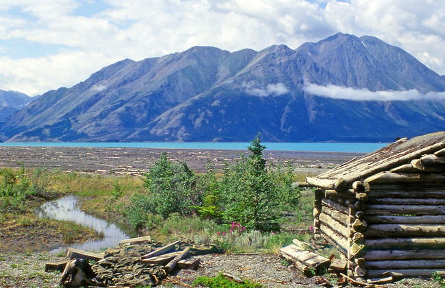 Reserva de Vida Salvaje de Yukón + Aguas Termales de Eclipse Nordic - Foto 2