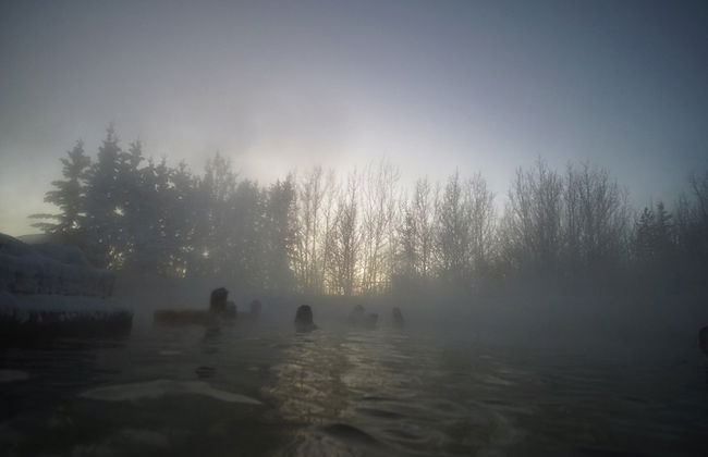 Wild Yukon & Hot Springs Tour - Photo 4